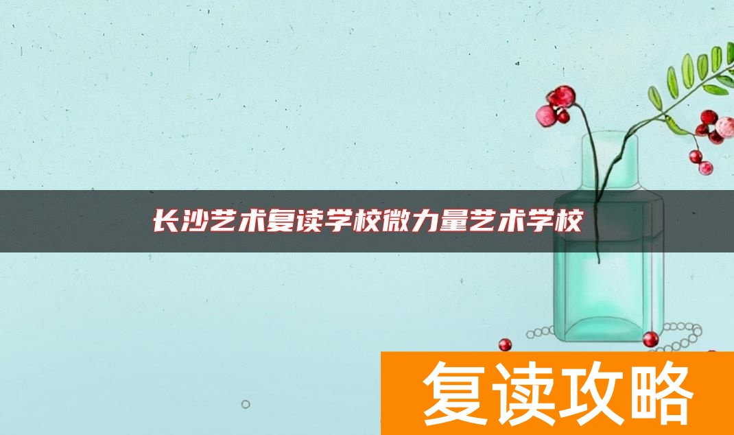 长沙艺术复读学校微力量艺术学校