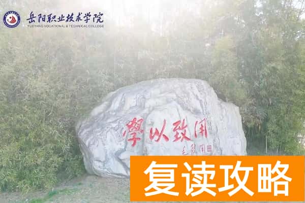 2026年岳阳职业技术学院单招指南