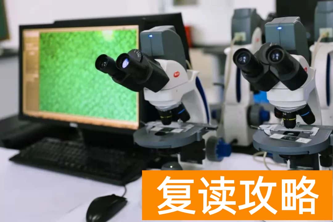 湖南师大二附中复读部环境如何 ？好不好？