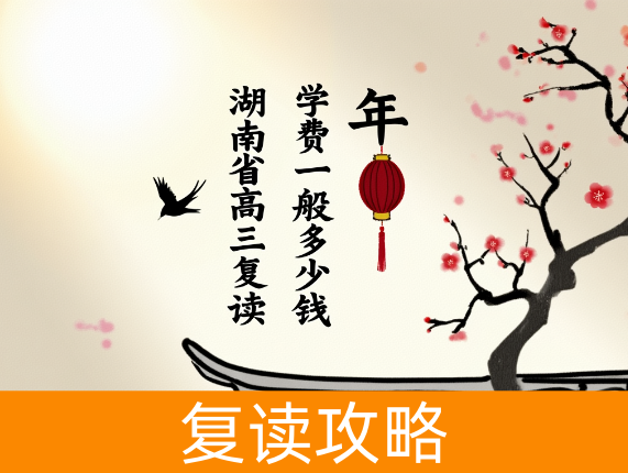 湖南省高三复读学费一般多少钱一年