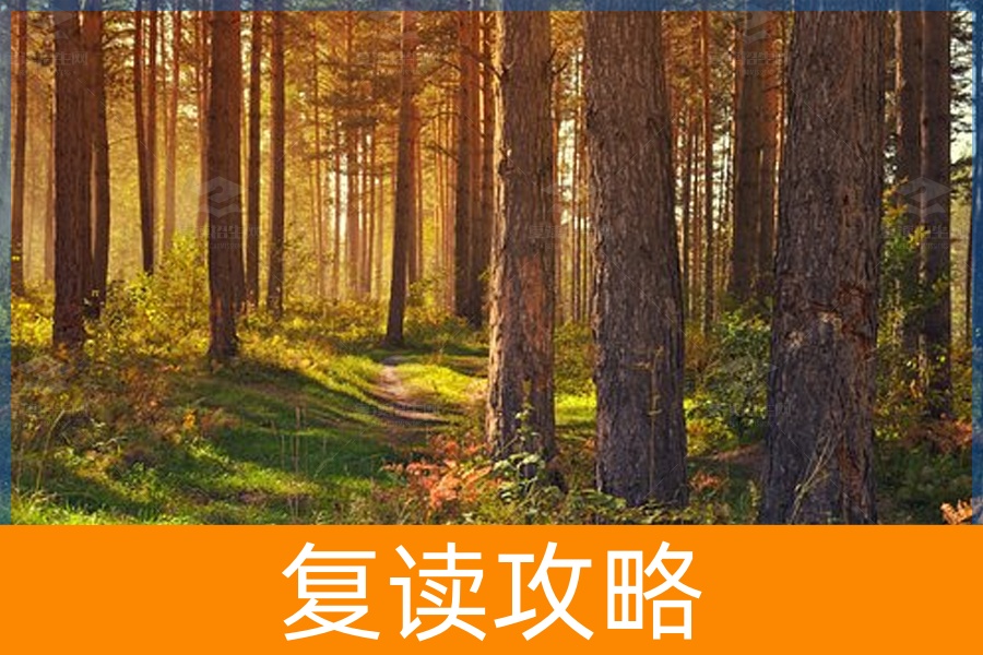 高考复读压力大,如何调整心态?